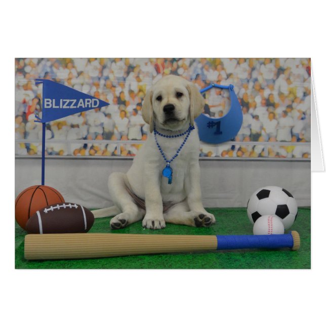 Cartão de esportes do blizzard (Frente Horizontal)