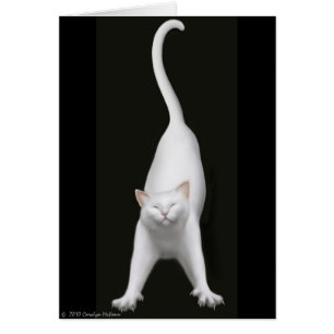 Cartão de esticão feliz do gato