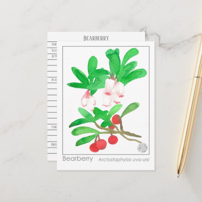 Cartão de Estudo à Base de Plantas Materia Medica  (Frente/Verso In Situ)