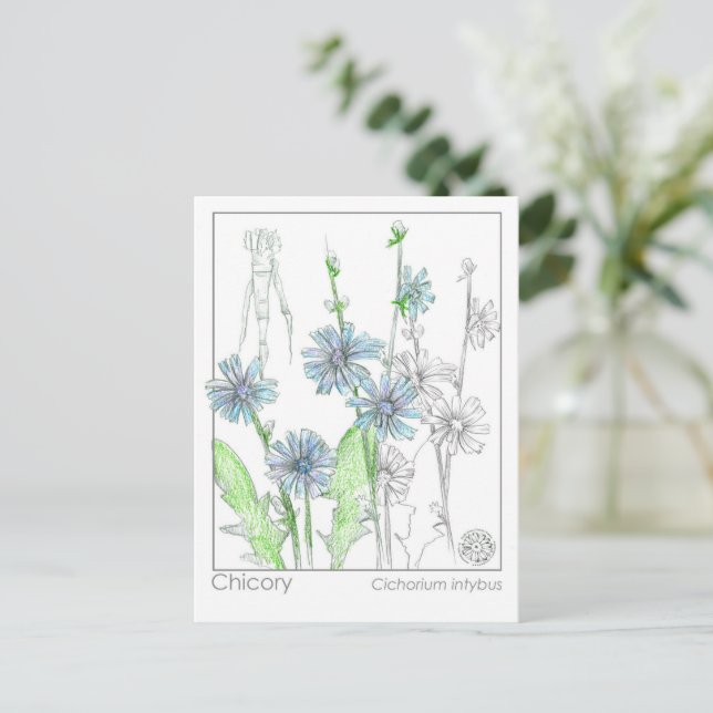 Cartão de Estudo à Base de Plantas sobre Matéria M (Em pé/Frente)