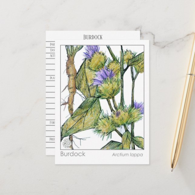 Cartão de Estudo de Plantas Herbais com Materia Me (Frente/Verso In Situ)