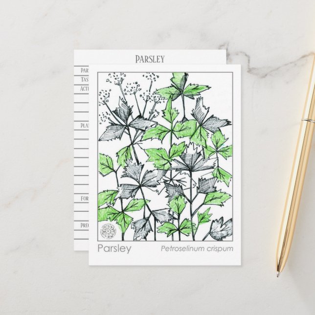 Cartão de Estudo Herbal de Especiarias Especiais d (Frente/Verso In Situ)