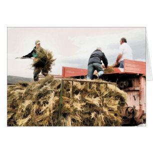 CARTÃO DE EXPLORAÇÃO