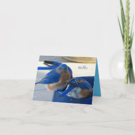 Cartão de Felicidade Bluebird