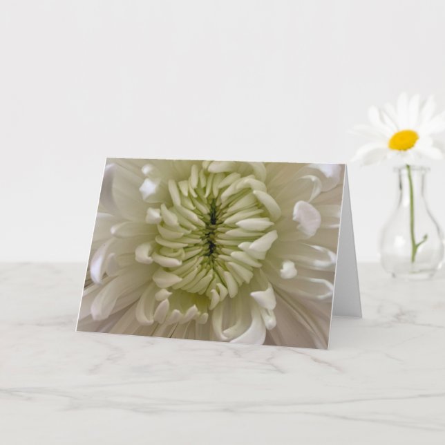 Cartão de Felicitações com Flores (Planta pequena)