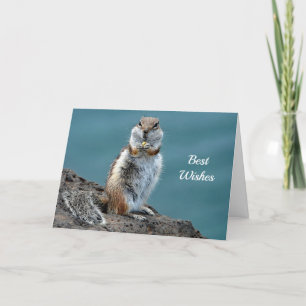 Cartão de Felicitações de Casamento Esquilo Terres