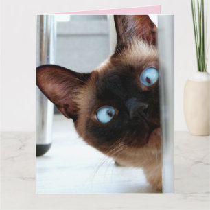 CARTÃO DE FELICITAÇÕES DO DIA DAS MÃES COM GATO FO