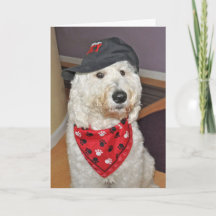 Cartão de Felicitações Dobrado