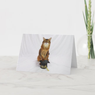 Cartão de Felicitações para Graduados com Gato Som