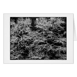 Cartão de Feriado "Abstrato de Inverno" - Estação