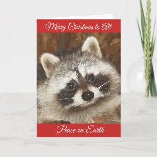 Cartão de Feriado de Cartões de natal Raccoon Pixi