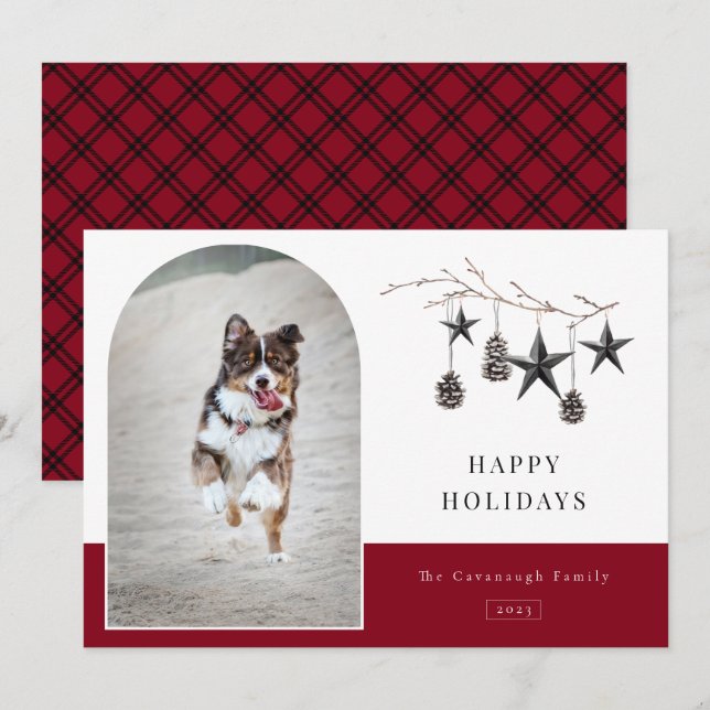 Cartão de Feriado de Foto do Quadro de Arch da Coz (Frente/Verso)