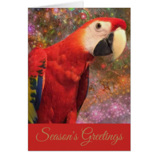 Cartão de Feriado de Papagaio Vermelho para Macaw
