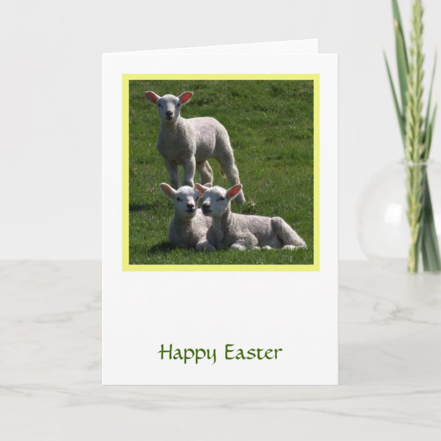 Cartão de Feriado Dobrado (Frente)