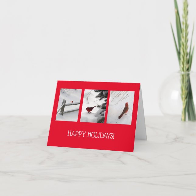 cartão de férias - Cardinais na neve (Frente)