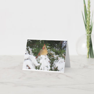 Cartão de Férias com Cardeal