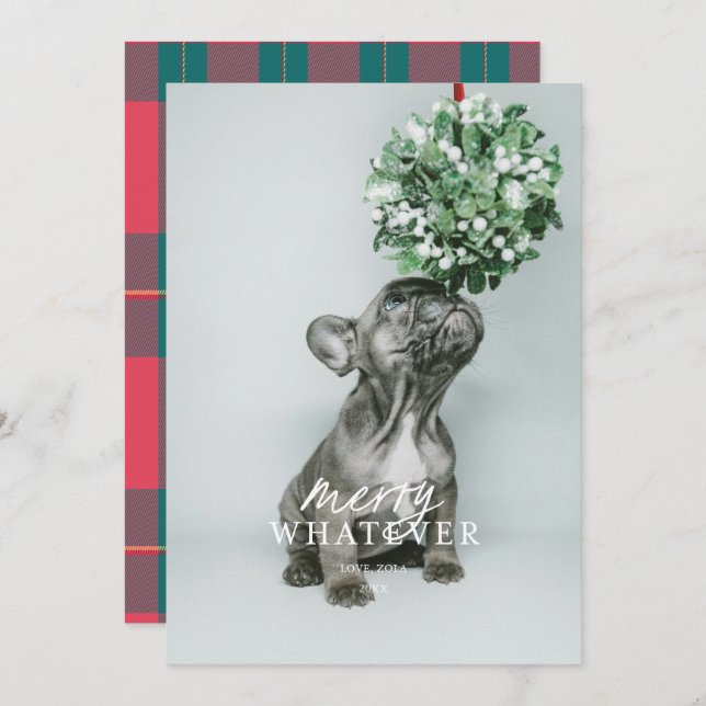 Cartão de Férias de Foto de Animalzinho Bobo Muito (Frente/Verso)