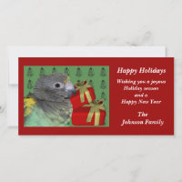 Cartão de Férias de Natal de Animais Meyers Parrot