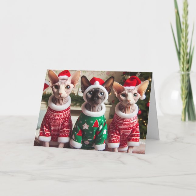 Cartão de Férias de Natal para Kittens Sphynx (Frente)