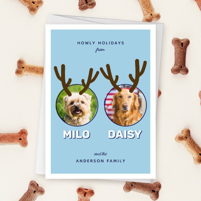 Cartão de Férias de Natal Pet com Rebetão Azul 2 (blue two photo pet Christmas holiday card with message "Howly Holidays" with two sets of antlers)