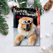 Cartão de Férias de Porte Dourado Pet Furry e Brig