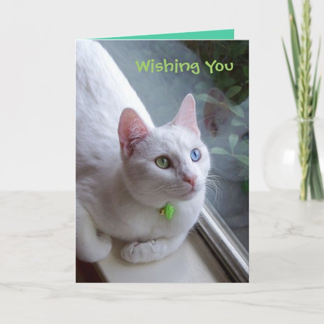 Cartão de férias de serenidade (Frente)