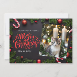 Cartão de férias do Cat Xmas