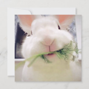 Cartão de Férias do felz pascoa