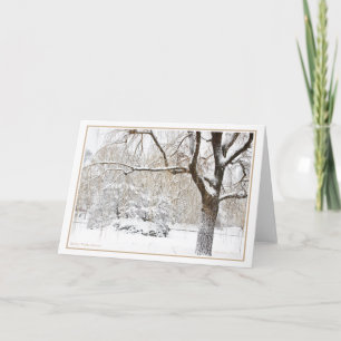 Cartão de Férias do Jardim Público de Boston