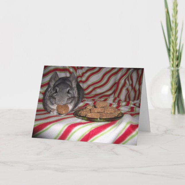 Cartão de férias do Wunderchins 2012 (Frente)