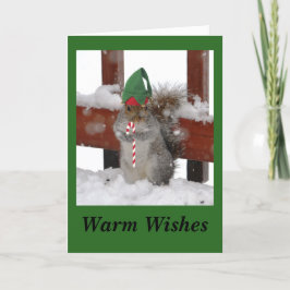 Cartão de Férias Dobrado ao Esquilo em Verde