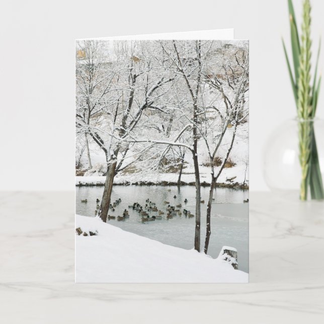 cartão de férias em lagoa de inverno (Frente)