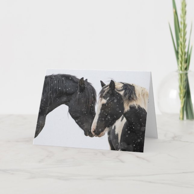 Cartão de Férias "Flirtation" (Frente)