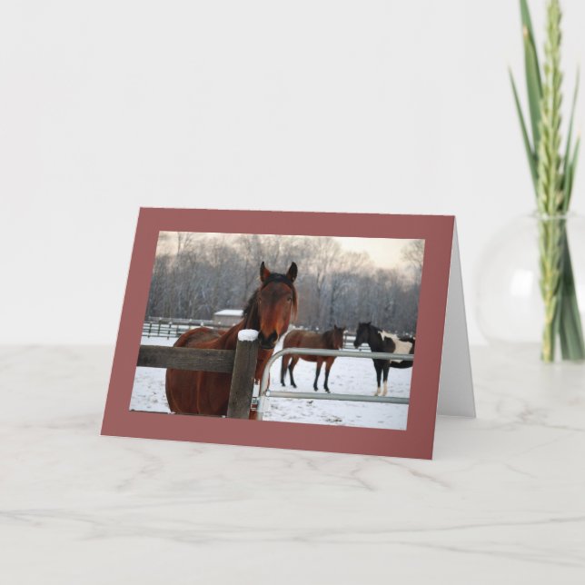 Cartão de Férias Mustang (Frente)