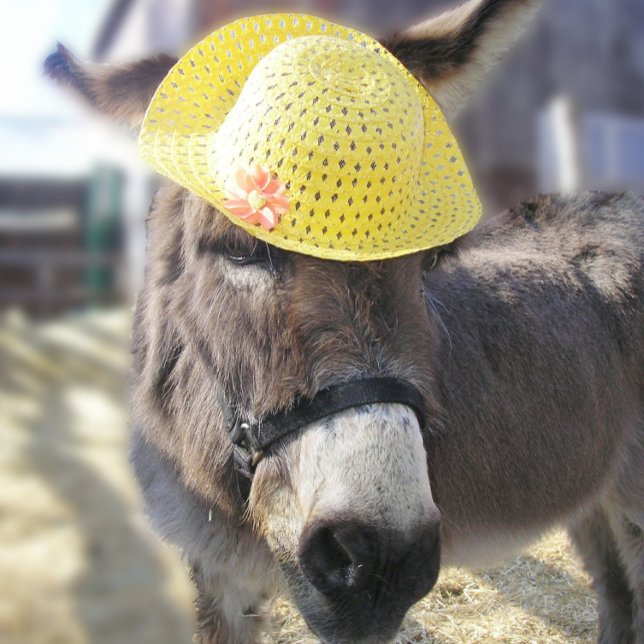 Cartão de Férias "O Verdadeiro Coelho de Páscoa" (Criador carregado)
