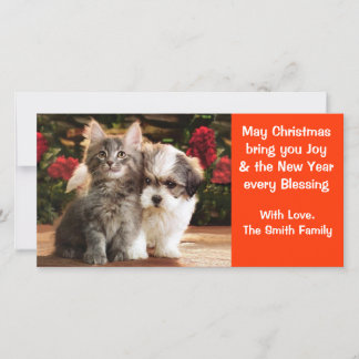 Cartão de Férias Puppy & Kitten