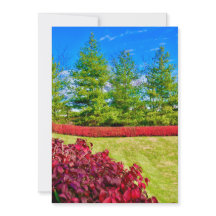 Cartão de Férias Vermelho e Verde 