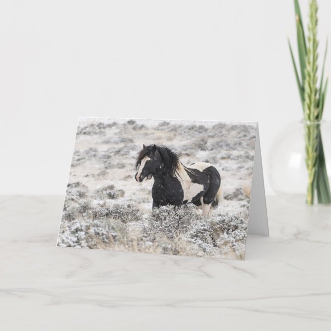 Cartão de férias "Washakie in Winter" (Frente)