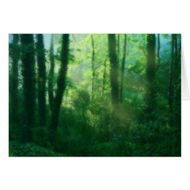 Cartão de Fertilidade (Frente Horizontal)