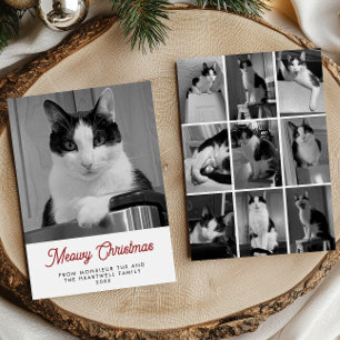 Cartão De Festividades 10 Fotos de Gatos Diversão Meowy Natal