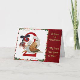 Cartão De Festividades 12 Days of Christmas Two Turtle Doves