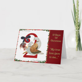 Cartão De Festividades 12 Days of Christmas Two Turtle Doves