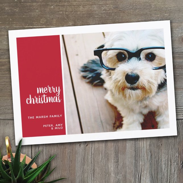 Cartão De Festividades 1 Colagem de Fotografias Natal Mínimo Natal - Nata (Criador carregado)