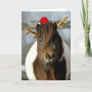 Cartão De Festividades 2005 OMRH Christmas Card Photo First Place Winner