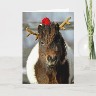 Cartão De Festividades 2005 OMRH Christmas Card Photo First Place Winner