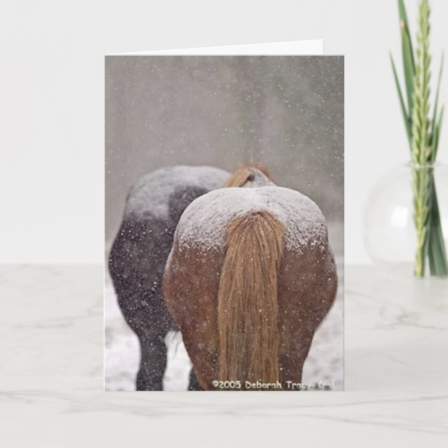 Cartão De Festividades 2005 OMRH Christmas Card Photo Second Place Winner (Frente)