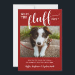 Cartão De Festividades 2021 Ruff Year What the Fluff Funny Dog Photo<br><div class="desc">Cartão engraçado de cartões de natal de cães de estimação ou de gatos para o Natal ou Anos novos, lendo "What the Fluff 2021" com sua própria mensagem personalizada para um retorno à normalidade para 2022. Um fundo vermelho, fontes de script festivas bonitas e tradicionais, e sotaque de fonte de...</div>