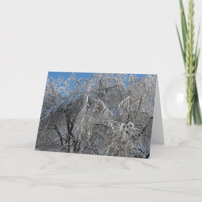 Cartão De Festividades ~ 25 do inverno (Frente)