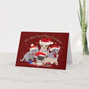 Cartão De Festividades 3 cats and a pug cards