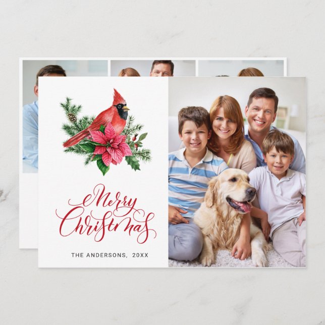 Cartão De Festividades 4 FOTO Poinsettia Vermelha Cardeal Saudação de Nat (Frente/Verso)